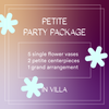 Petite Party Package (Villa)