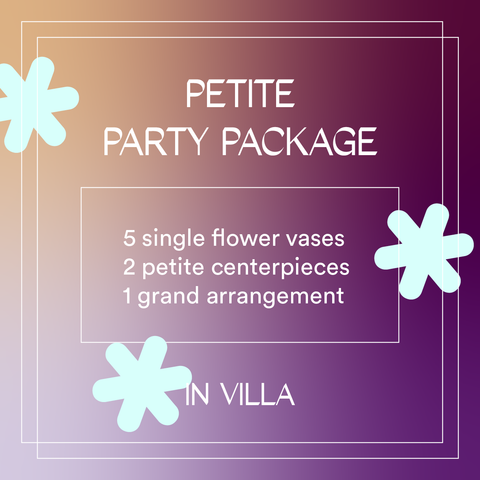 Petite Party Package (Villa)