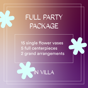 Full Pary Package (Villa)
